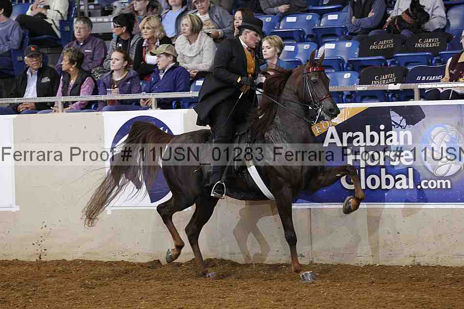 Proof 11usn_01283