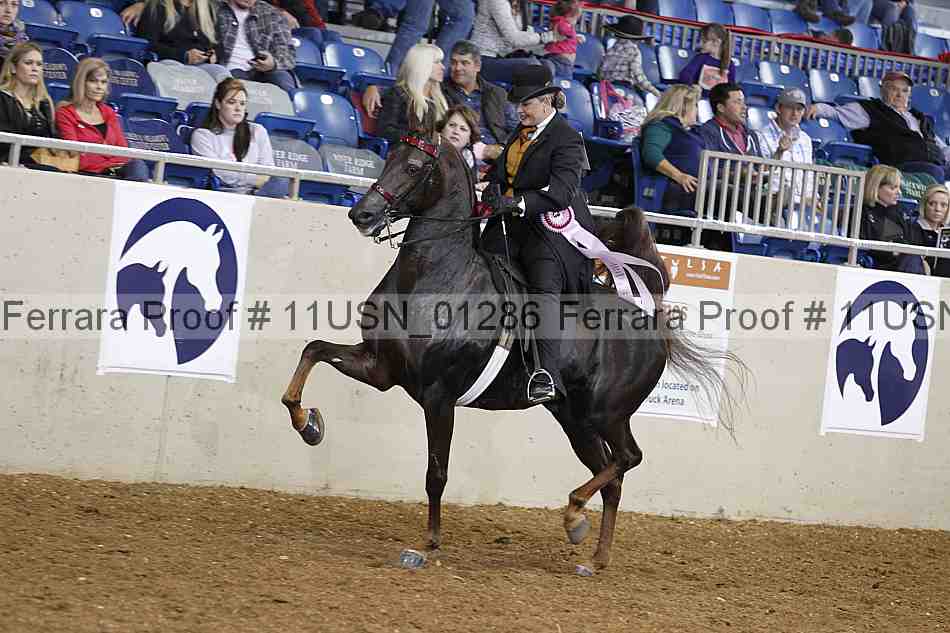 Proof 11usn_01286