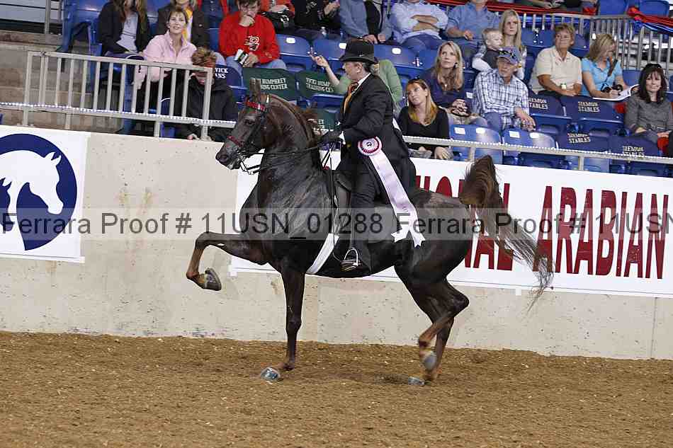 Proof 11usn_01288