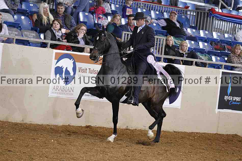 Proof 11usn_01289