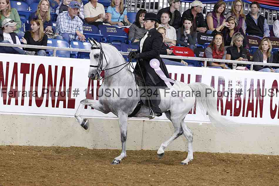 Proof 11usn_01294