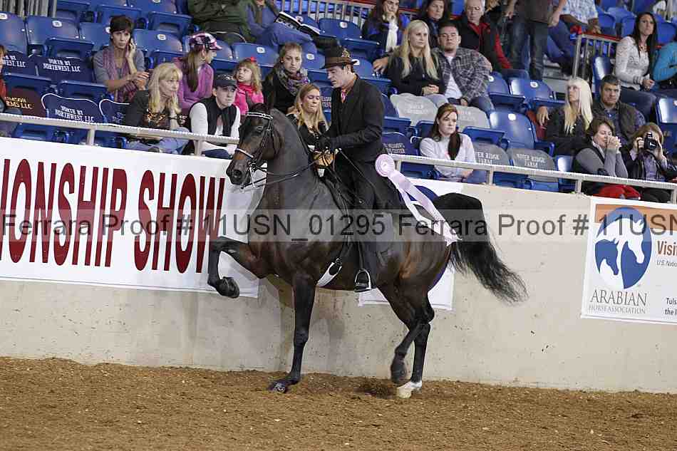 Proof 11usn_01295