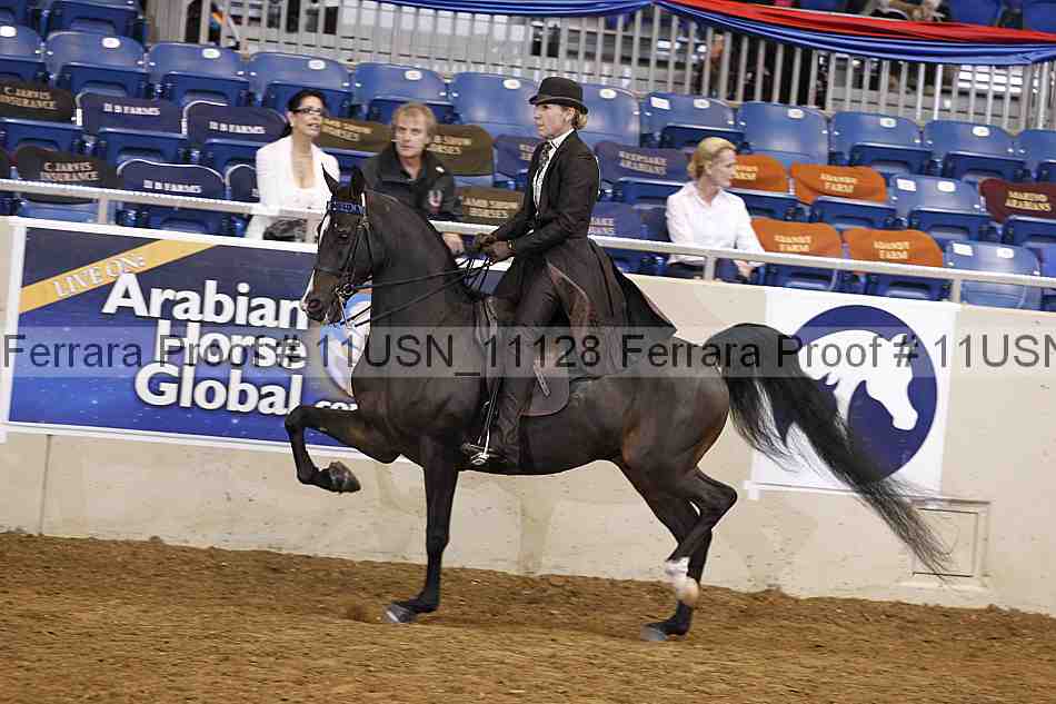 Proof 11usn_11128