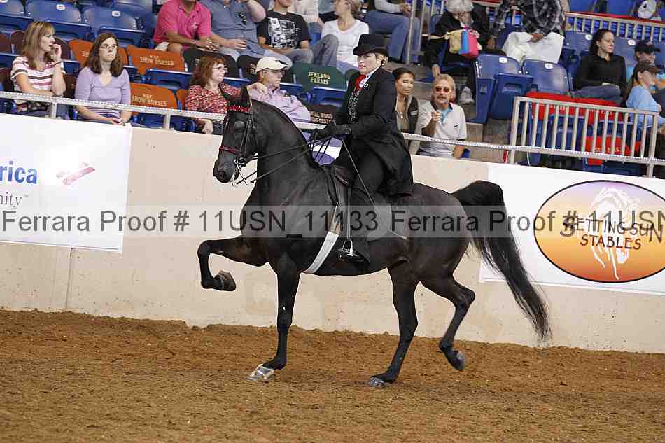 Proof 11usn_11133