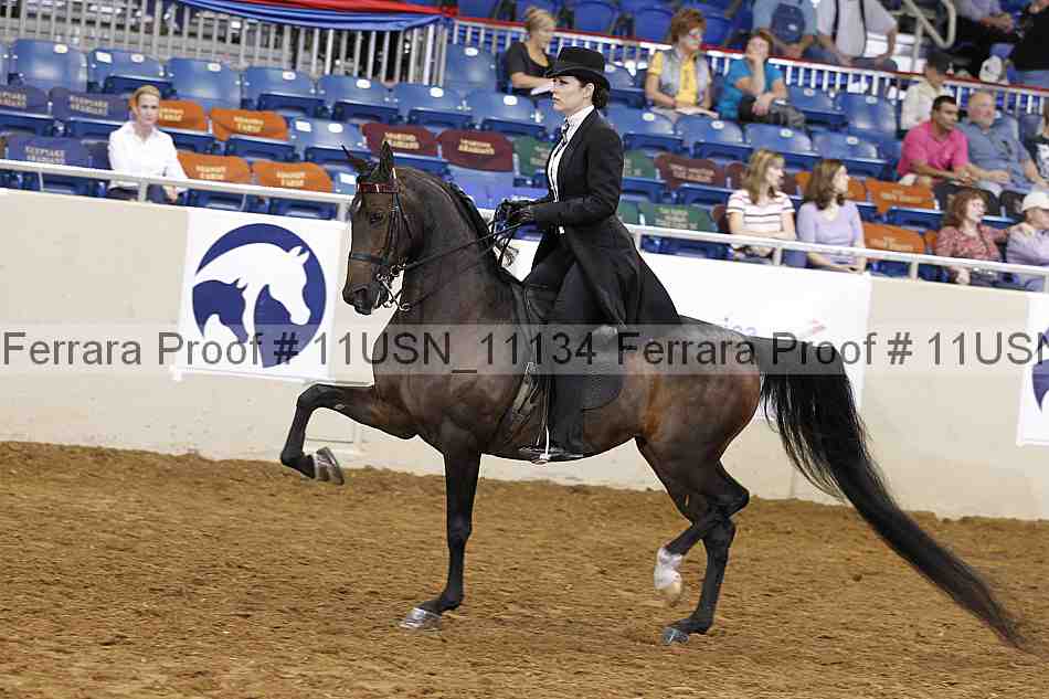 Proof 11usn_11134
