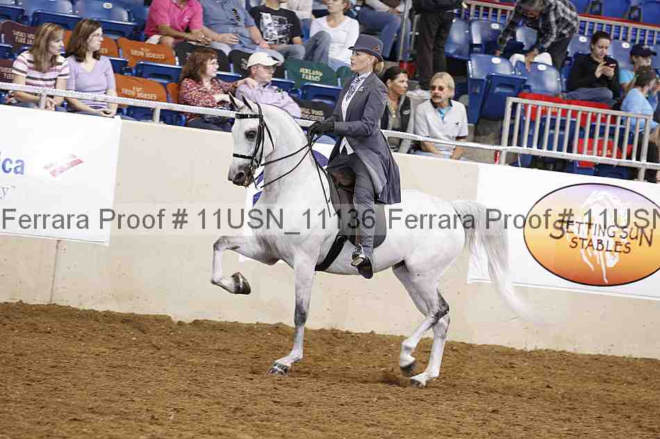 Proof 11usn_11136