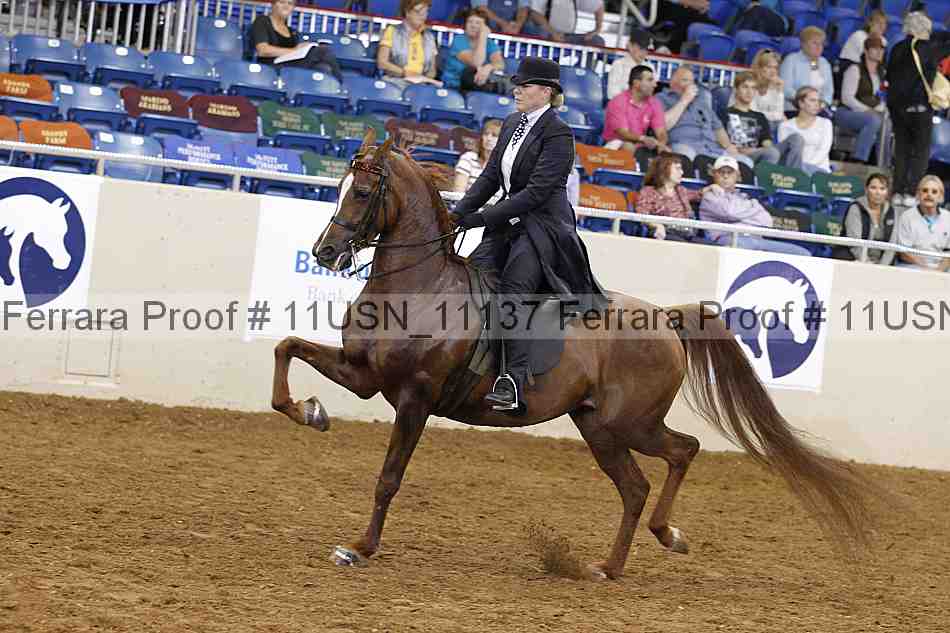 Proof 11usn_11137