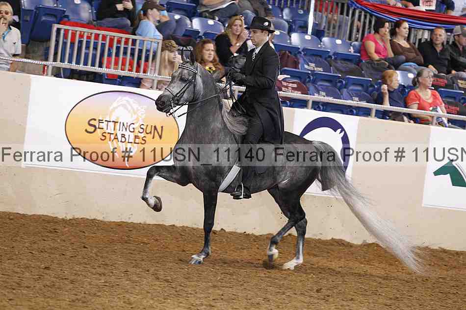 Proof 11usn_11140