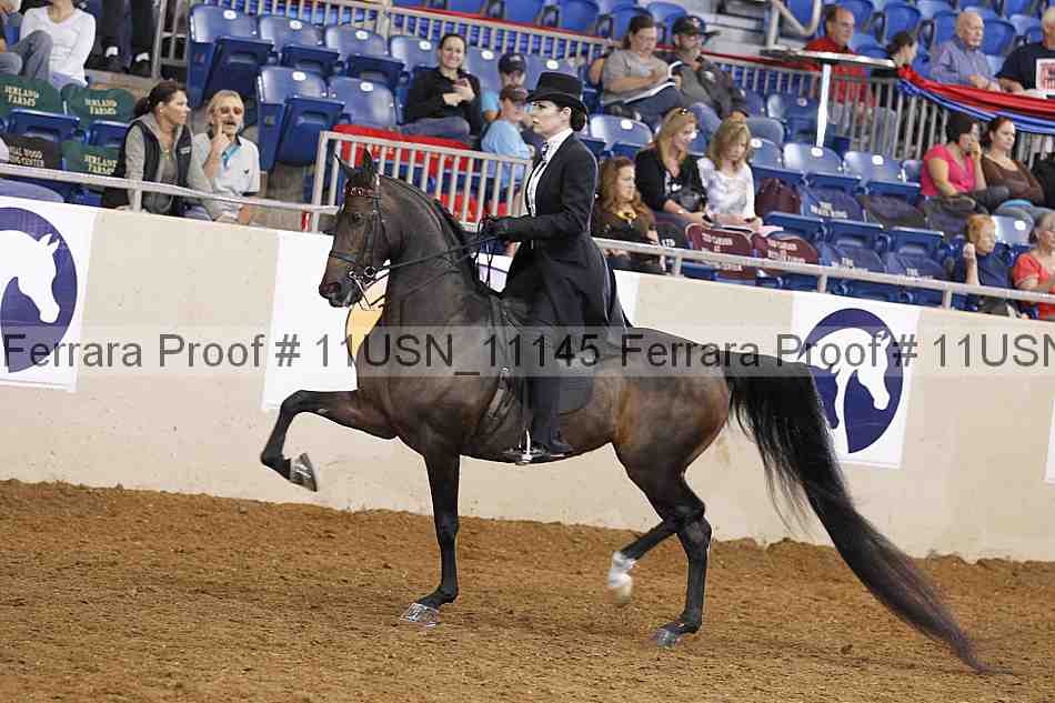 Proof 11usn_11145