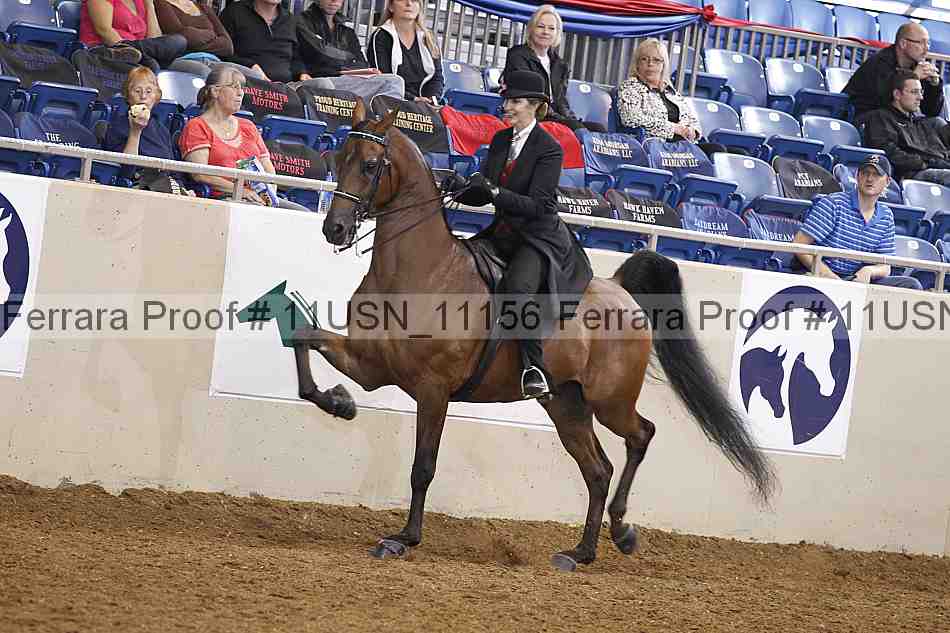 Proof 11usn_11156