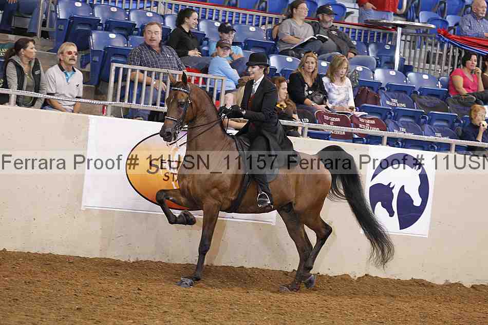 Proof 11usn_11157