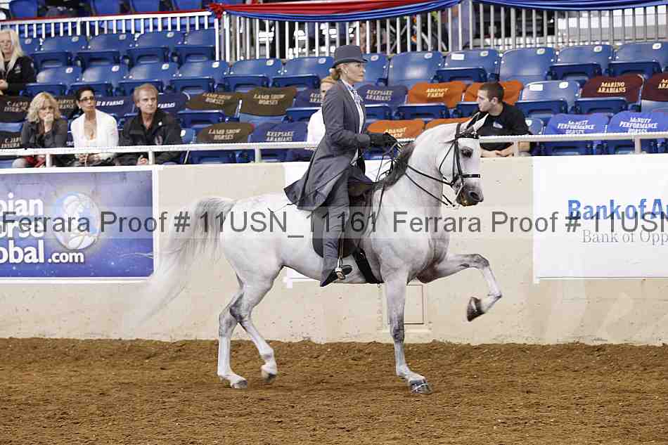 Proof 11usn_11161
