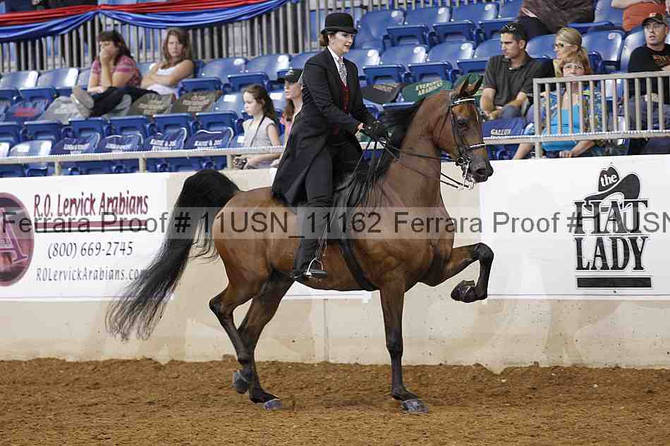Proof 11usn_11162