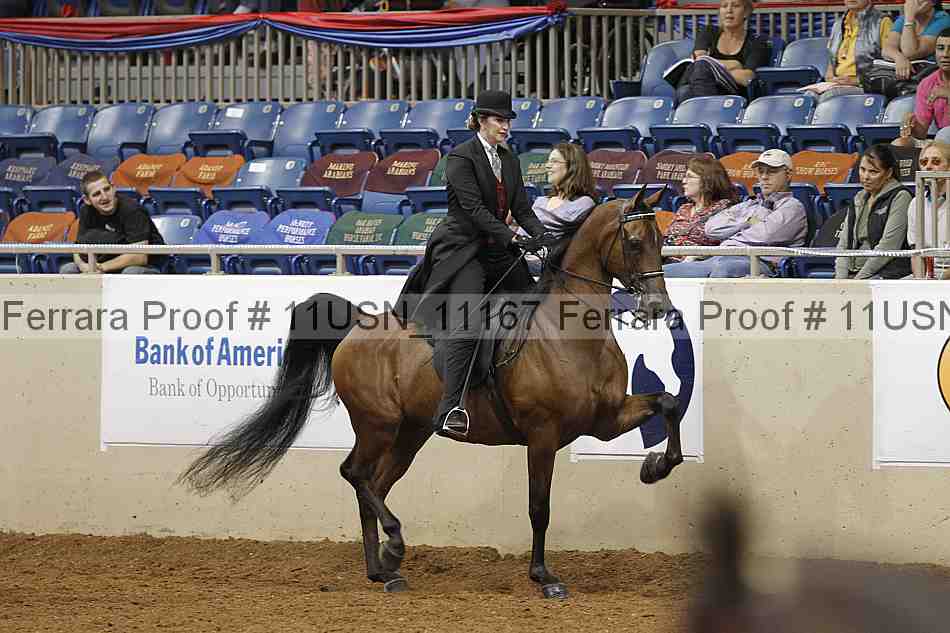 Proof 11usn_11167