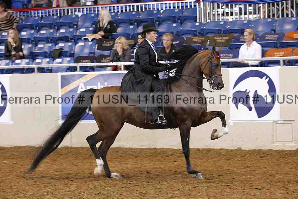 Proof 11usn_11169