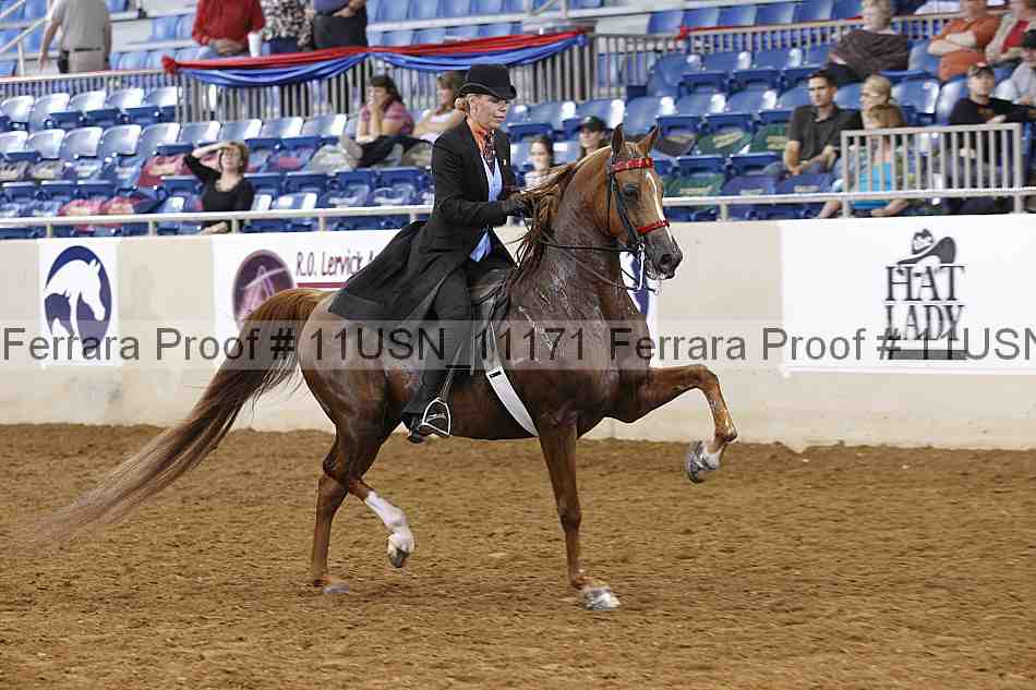 Proof 11usn_11171