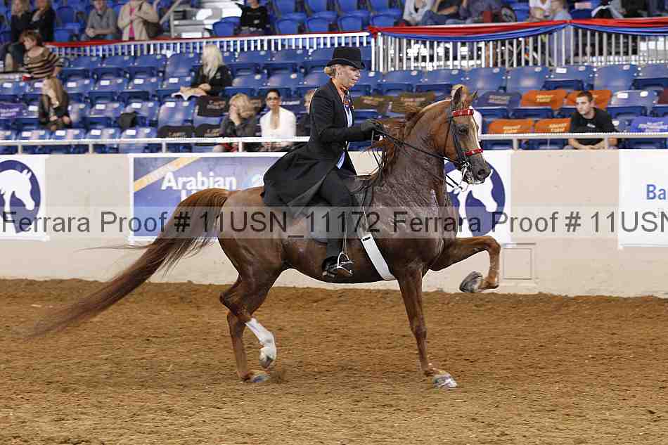 Proof 11usn_11172
