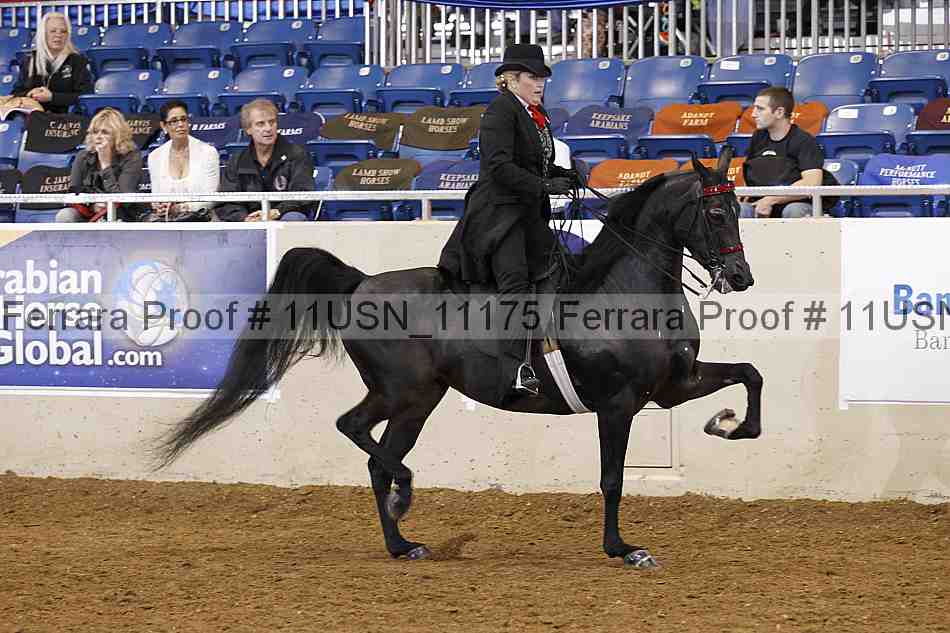 Proof 11usn_11175