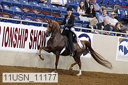 11usn_11177 proof
