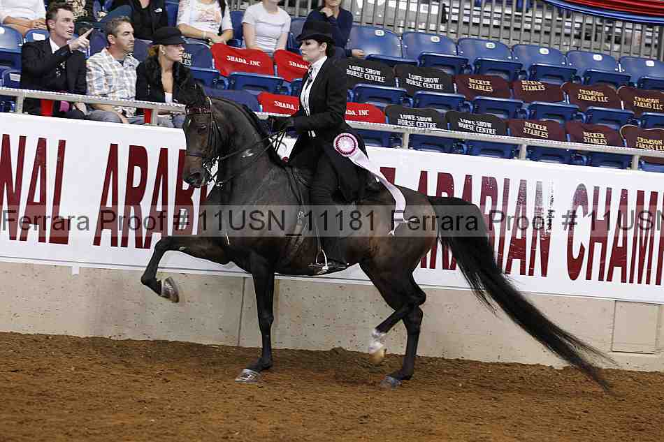 Proof 11usn_11181