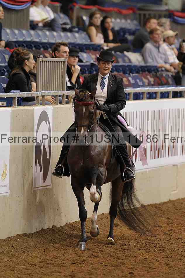 Proof 11usn_11186