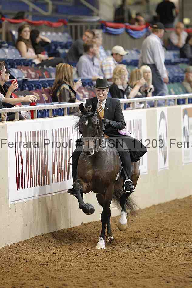 Proof 11usn_11203