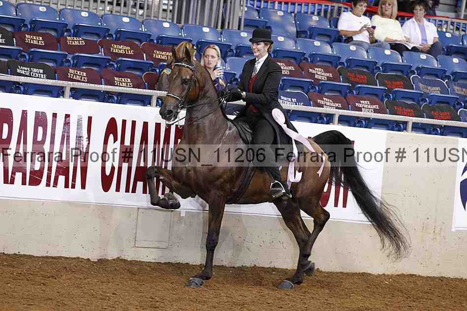 Proof 11usn_11206