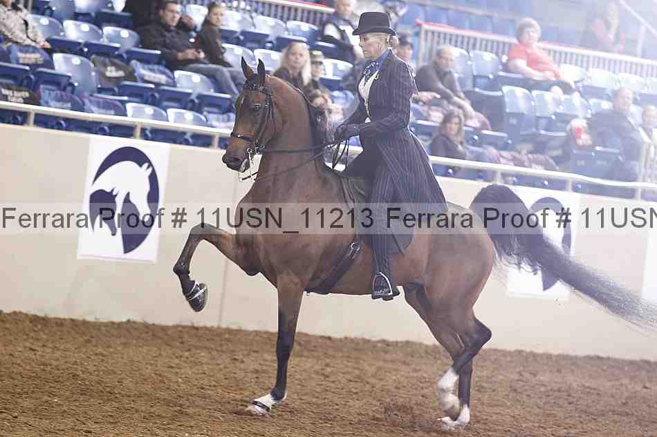 Proof 11usn_11213