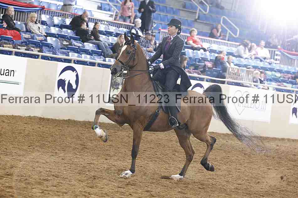 Proof 11usn_11223
