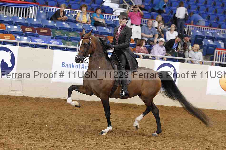 Proof 11usn_11229