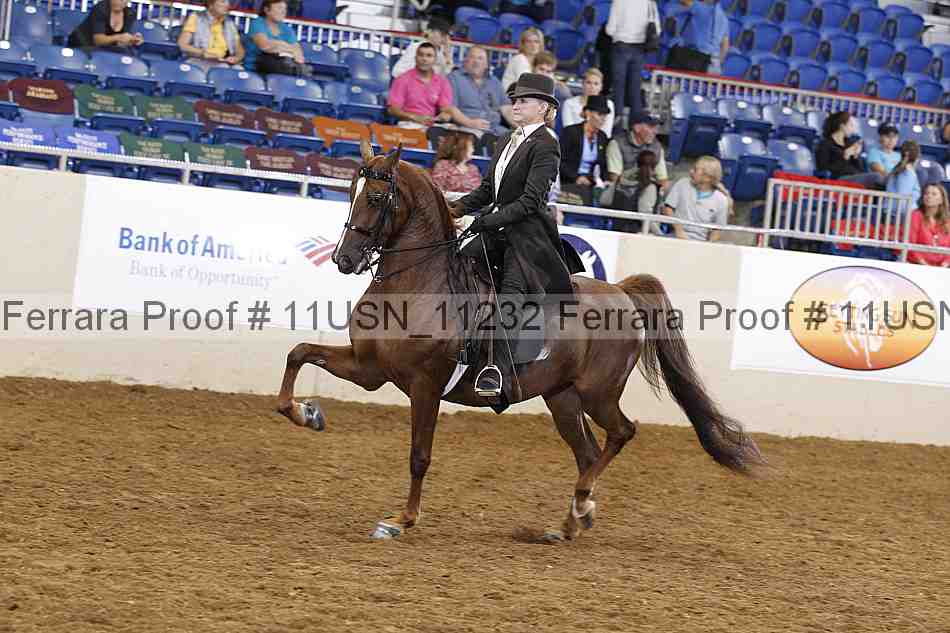Proof 11usn_11232