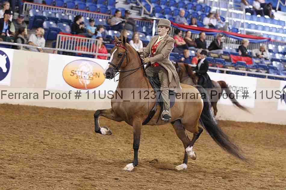 Proof 11usn_11237