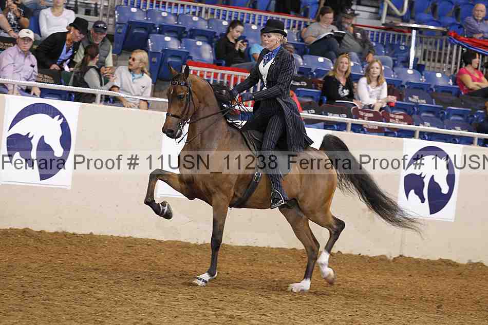 Proof 11usn_11238
