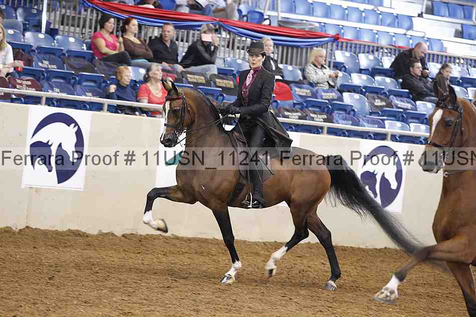 Proof 11usn_11241