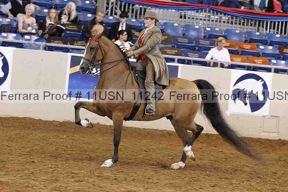 Proof 11usn_11242