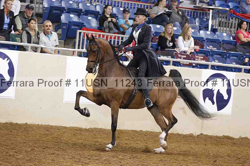 Proof 11usn_11243