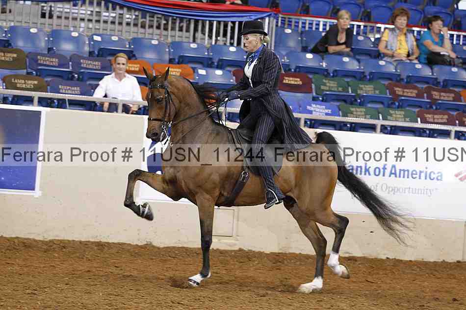 Proof 11usn_11244