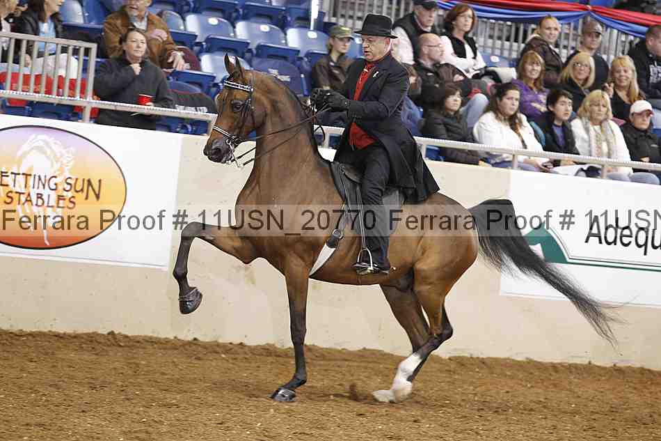 Proof 11usn_20770