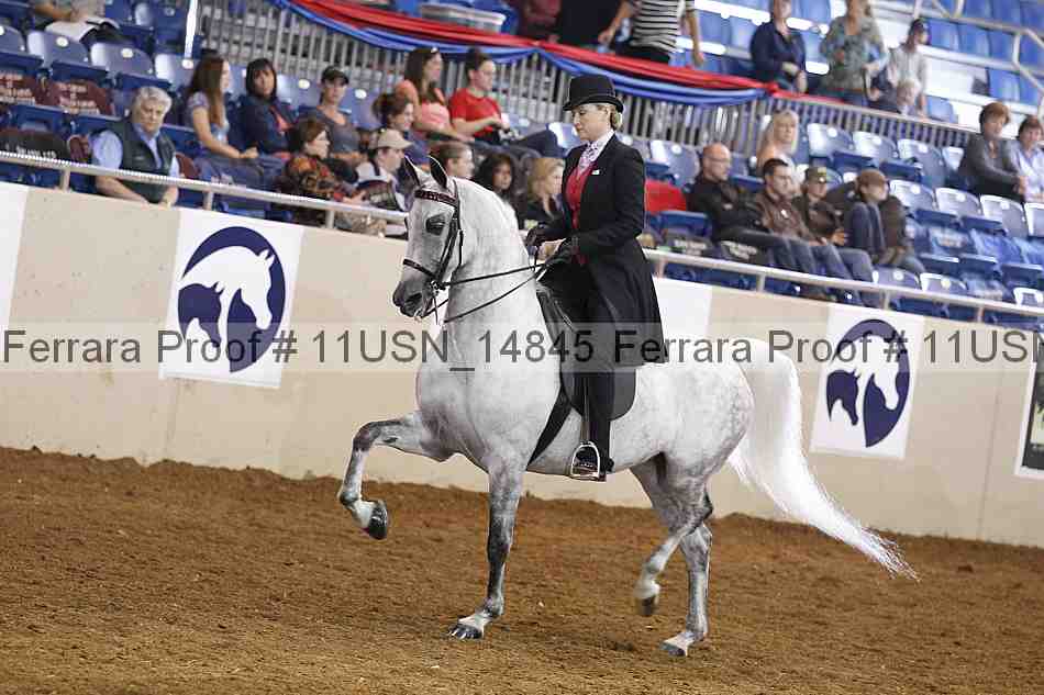 Proof 11usn_14845