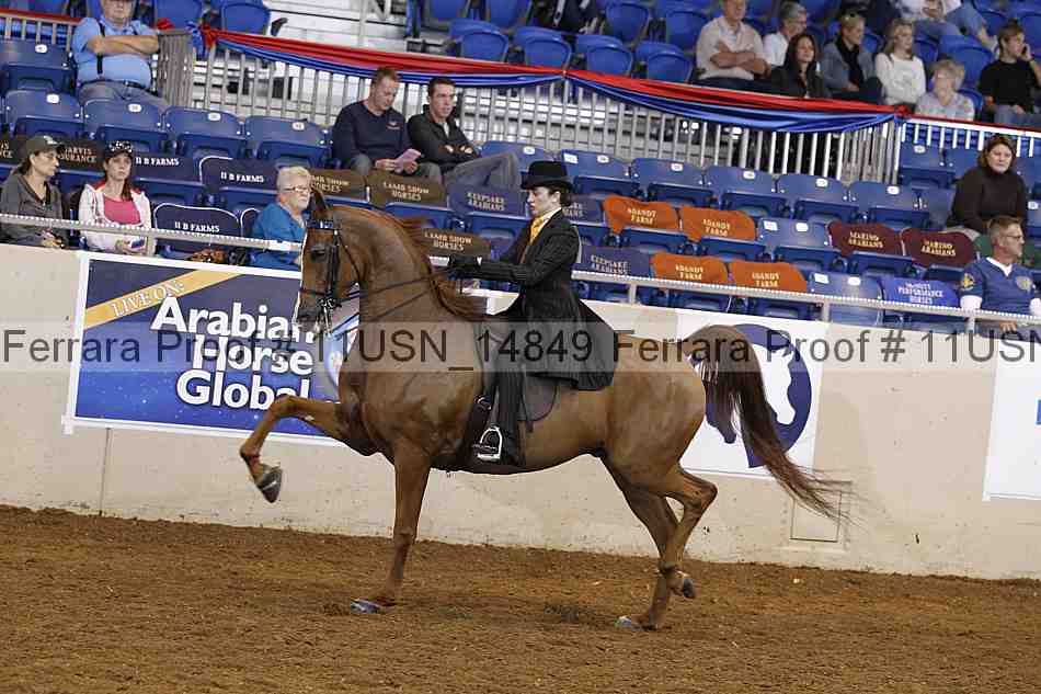 Proof 11usn_14849