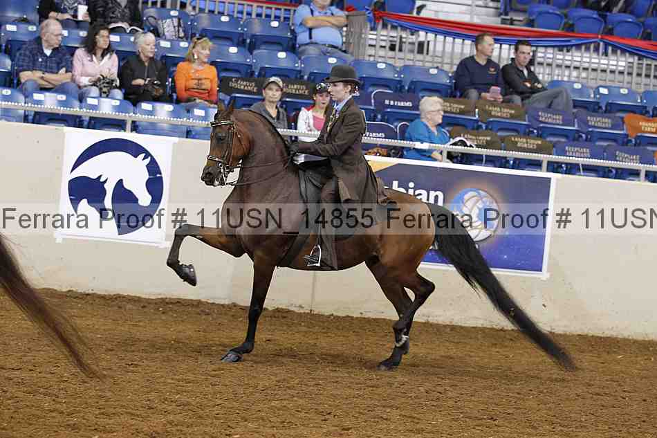 Proof 11usn_14855