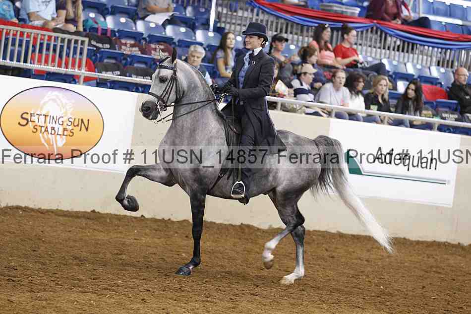Proof 11usn_14857