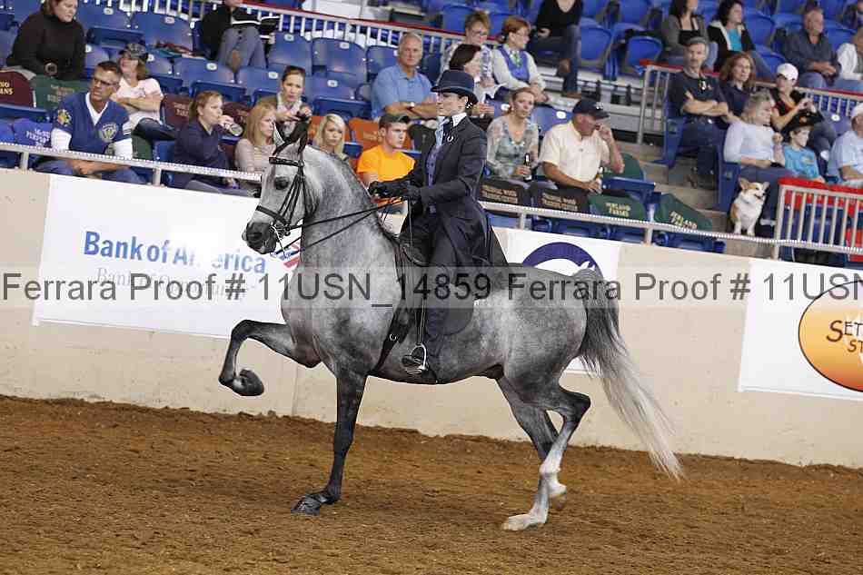 Proof 11usn_14859