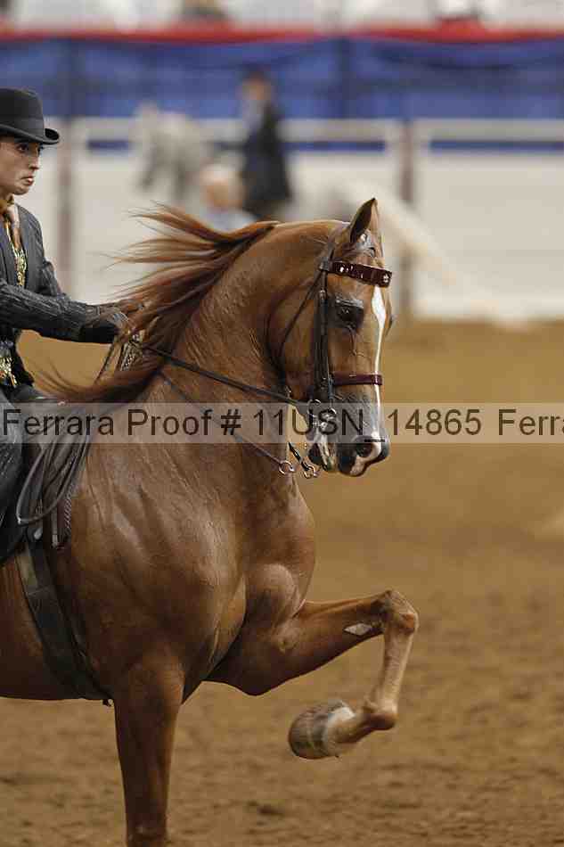 Proof 11usn_14865