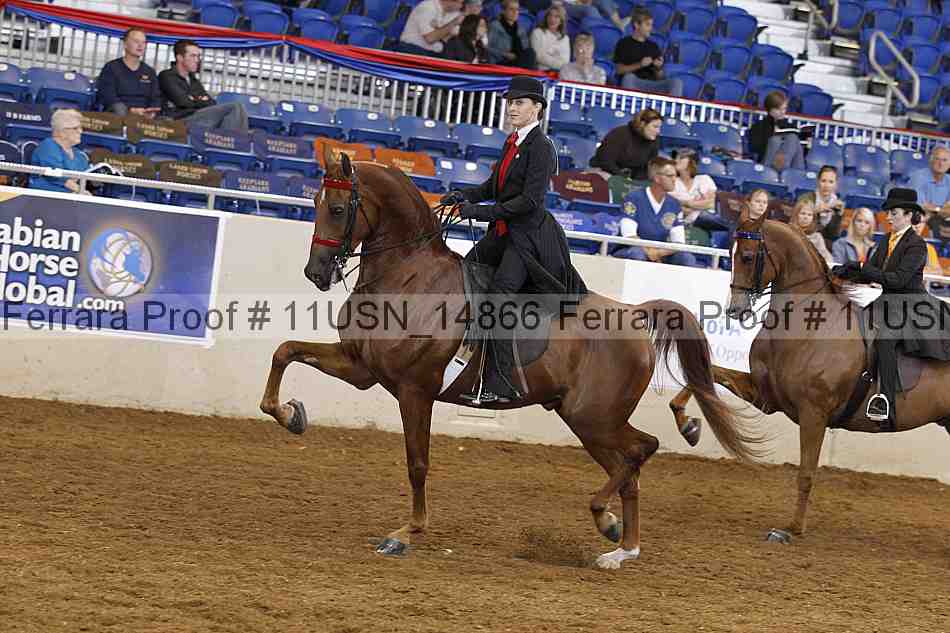 Proof 11usn_14866