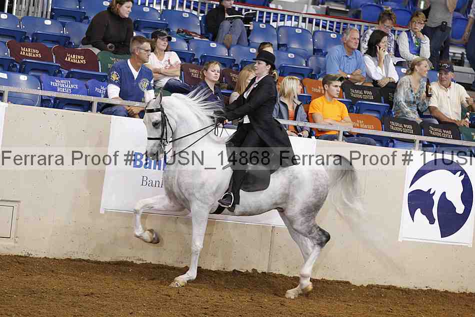 Proof 11usn_14868