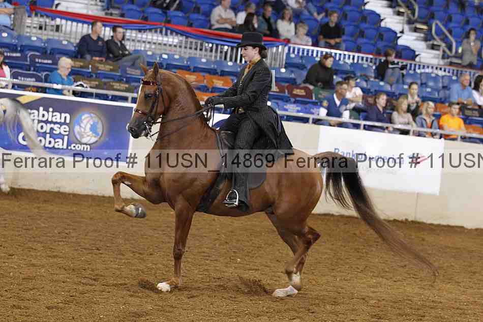 Proof 11usn_14869