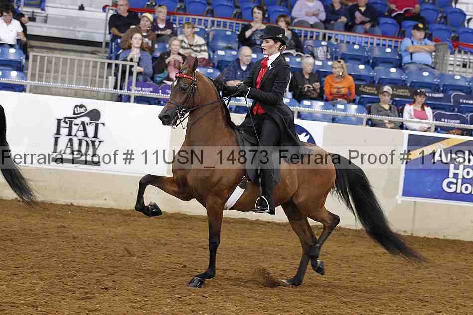 Proof 11usn_14873