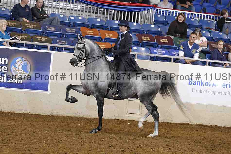 Proof 11usn_14874