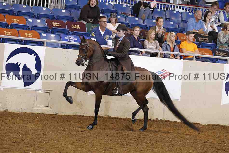 Proof 11usn_14875